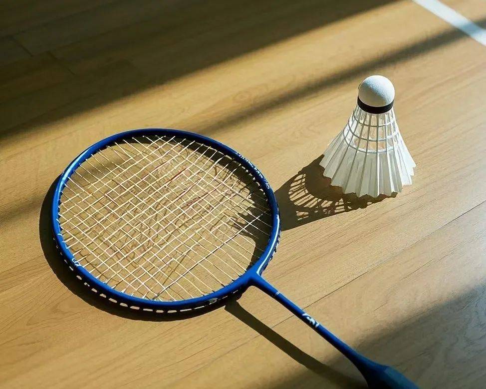 棒球与日本甲子园的热血文化研究